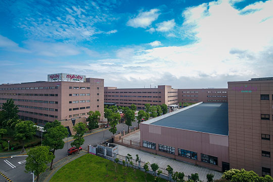 /upload/20200117144610129790.jpg /upload/20200117144610129790.jpg